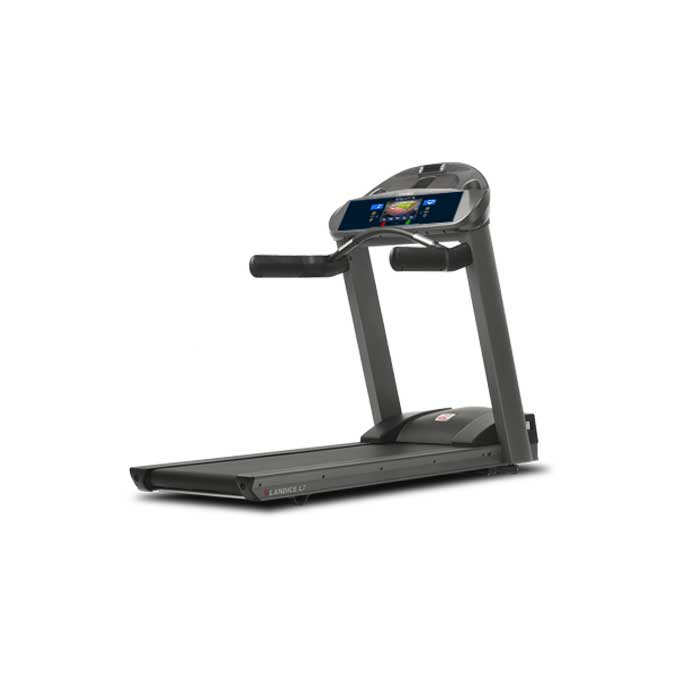 landice treadmill